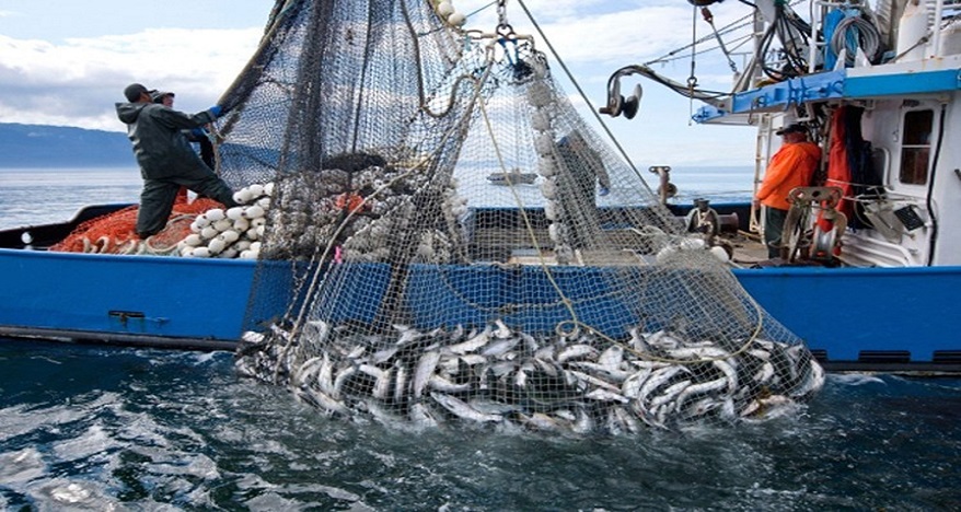 الحكومة الإسبانية تحث المفوضية الأوروبية على الإسراع بالموافقة على اتفاقية الصيد الجديدة مع المغرب