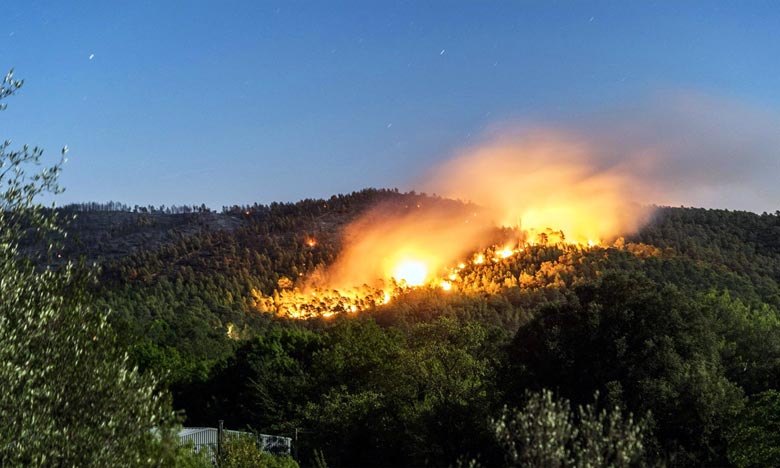تحذيرات من الإجهاز على الغطاء الغابوي بطنجة ومن التوسع الإسمنتي الذي يعصف بالمدينة