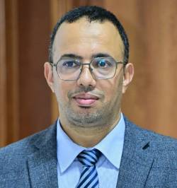 وادنون هل تفشل النخبة أم يجري إفشالها؟ قراءة في تجربتي بوعيدة والصباري