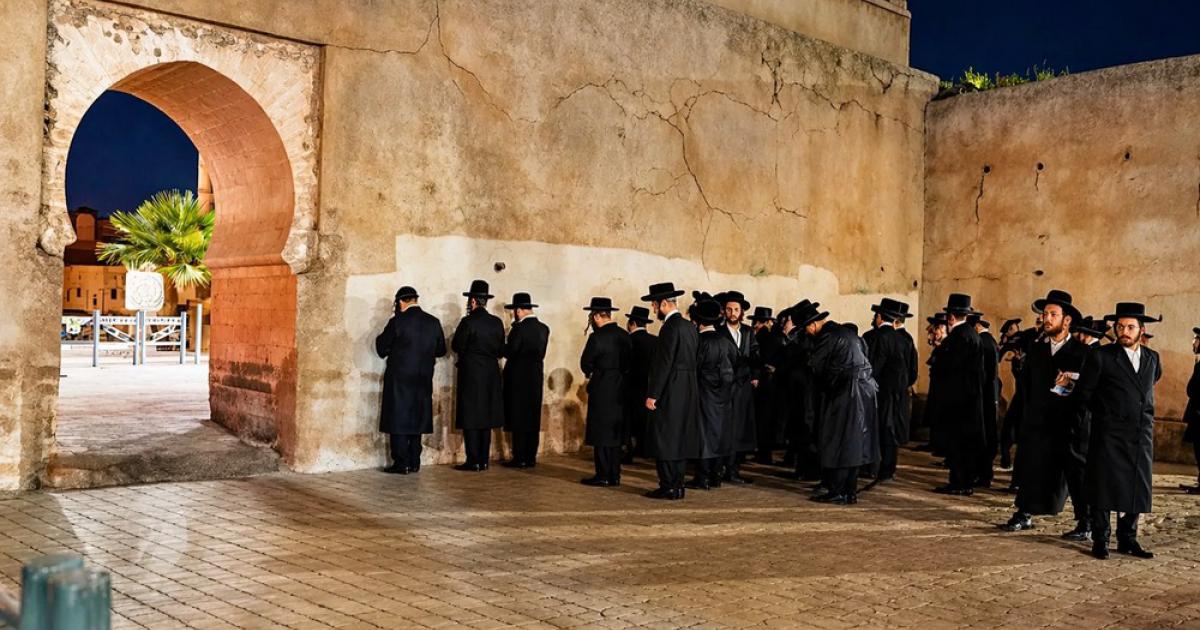 الشجرة التي تحجب الغابة