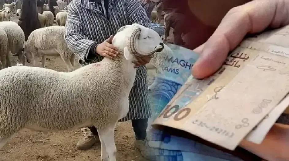 من ساهم في تمويل “الإرهابيين الحقيقيين” الذين حَرَمُوا المغاربة من فرحة العيد؟ من ساهم في تمويل “الإرهابيين الحقيقيين” الذين حَرَمُوا المغاربة من فرحة العيد؟
